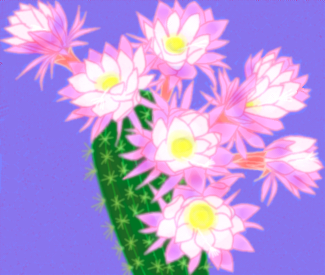 サボテンの花   by ヤッホー 650 x 550