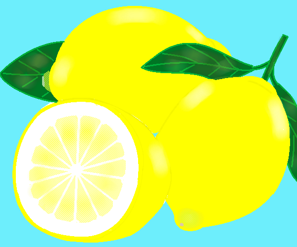 檸檬  by ヤッホー 600 x 500