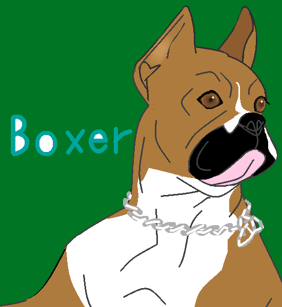 ボクサー犬  by ヤッホー 550 x 600
