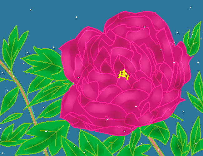牡丹の花  by ヤッホー 650 x 500