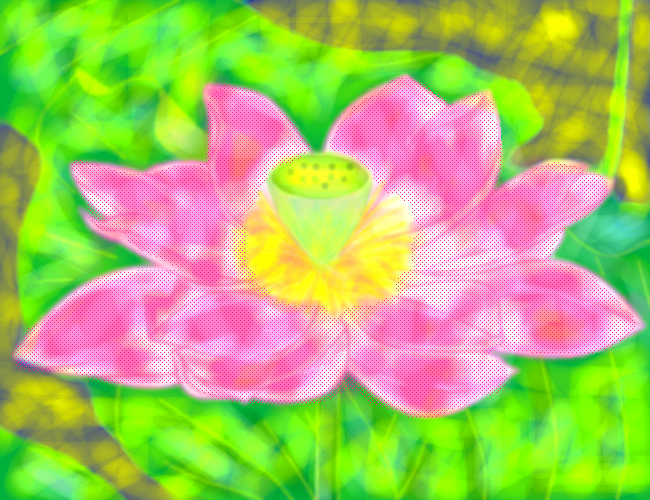 蓮の花   by ヤッホー 650 x 500
