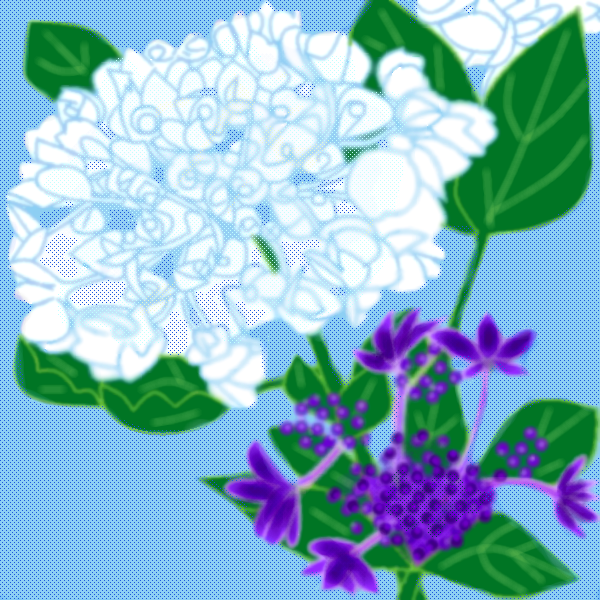 アジサイの花   by ヤッホー 600 x 600