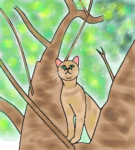 猫の木登り by ヤッホー